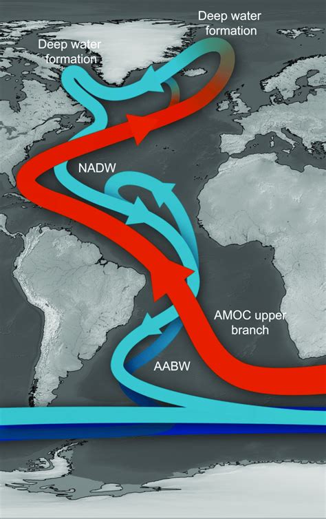 amoc|Meridional Overturning Circulation .
